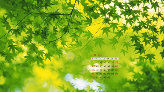 树木图片 _ 第(9)张
