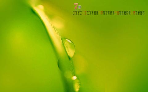 高清雨水清新护眼绿色水滴露珠高清桌面壁纸第1张