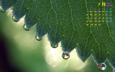 高清雨水清新护眼绿色水滴露珠高清桌面壁纸第5张