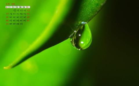 高清雨水清新护眼绿色水滴露珠高清桌面壁纸第6张