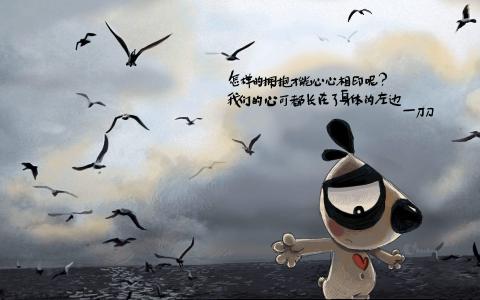 宠物狗可爱高清手机壁纸第0张