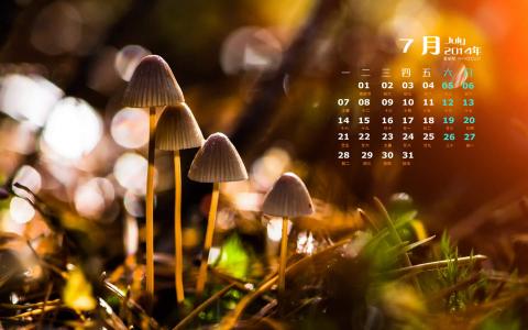 2015年6月日历壁纸清新大自然森林美景绿色护眼高清图片第3张