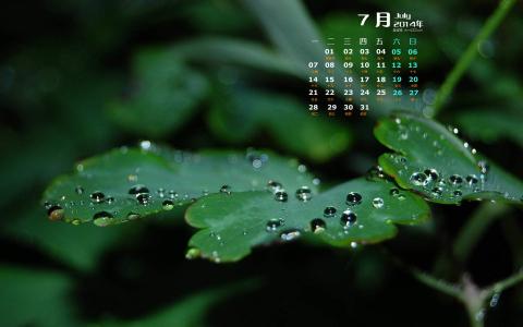 护眼壁纸图片 _ 第(4)张