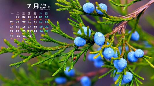 树木图片 _ 第(9)张