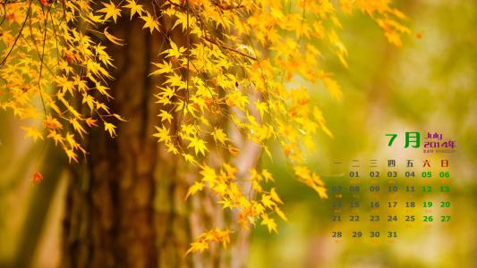 树木图片 _ 第(10)张
