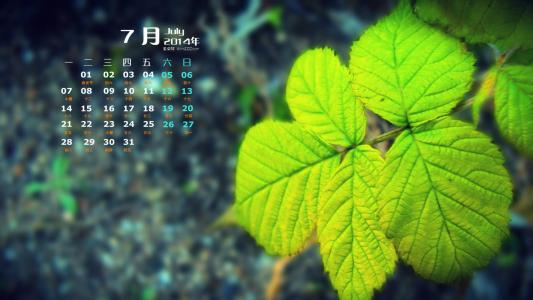 树木图片 _ 第(12)张