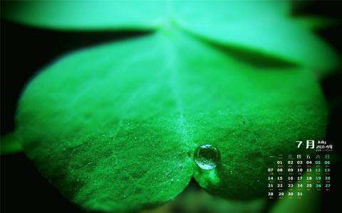 护眼电脑桌面图片 _ 第(7)张