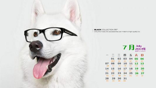 2014年7月日历创意可爱狗狗图片高清电脑桌面壁纸第5张