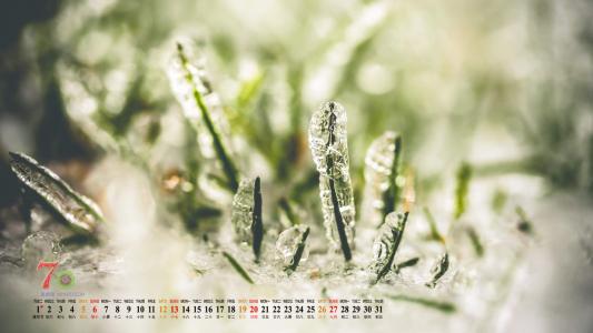 爱情浪漫日历浪漫鲜花高清电脑桌面壁纸第4张