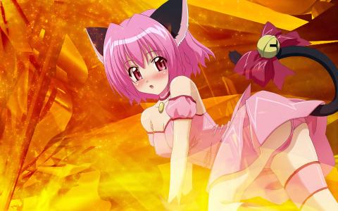 日本动漫东京猫猫美少女唯美浪漫桌面壁纸第0张