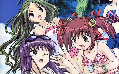 日本动漫东京猫猫美少女唯美浪漫桌面壁纸第2张