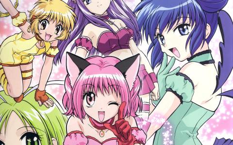 日本动漫东京猫猫美少女唯美浪漫桌面壁纸第5张