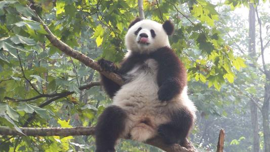 图片 _ 第(8)张