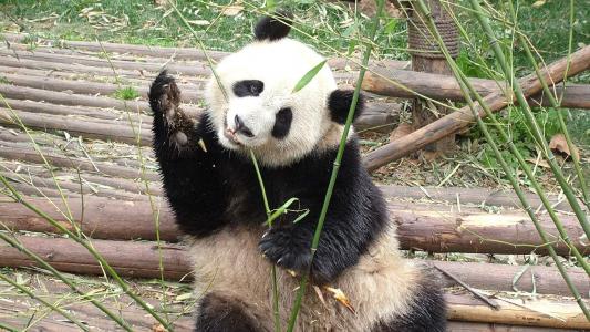 图片 _ 第(9)张