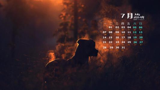 2014年7月日历桌面壁纸超萌的可爱狗狗汪星人图片第3张