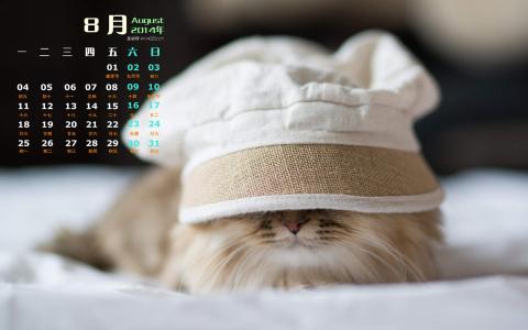 小奶猫图片 _ 第(3)张