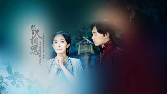 明星杨幂图片 _ 第(5)张