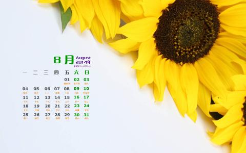 图片 _ 第(3)张
