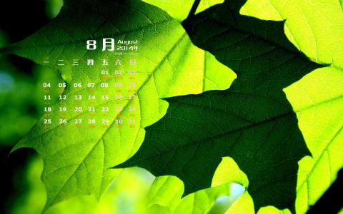 大自然第0张