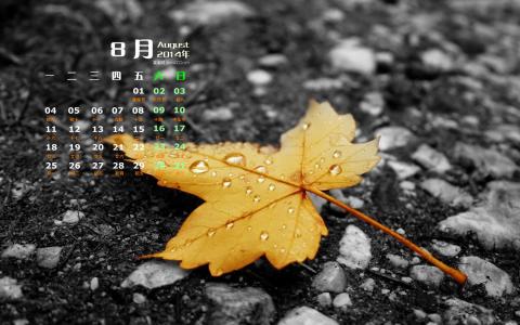 大自然第1张