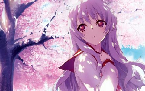 好看的动漫《to heart青春纪事》电脑桌面壁纸第3张