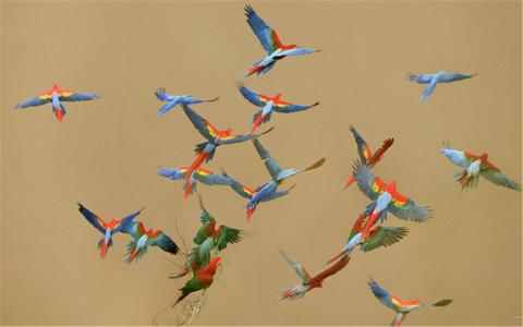 图片 _ 第(2)张