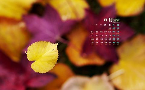 落叶图片 _ 第(2)张