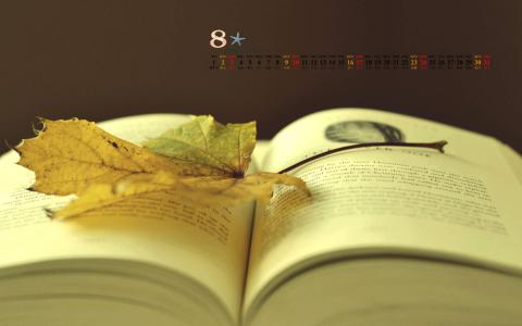 落叶图片 _ 第(7)张