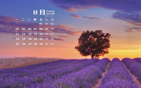 图片 _ 第(4)张