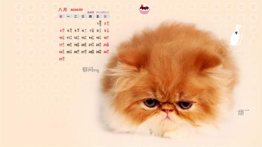 2014年8月日历桌面壁纸超萌的可爱小动物图片第0张