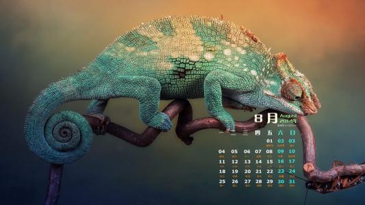 2014年8月日历桌面壁纸超萌的可爱小动物图片第1张