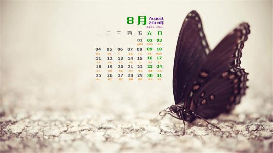 2014年8月日历桌面壁纸超萌的可爱小动物图片第2张
