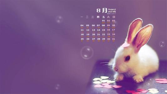 2014年8月日历桌面壁纸超萌的可爱小动物图片第3张