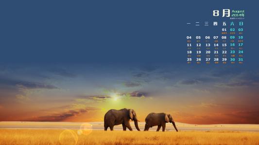 2014年8月日历桌面壁纸超萌的可爱小动物图片第6张