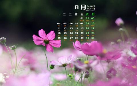第3张