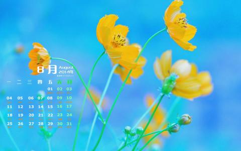 神圣美丽的格桑花唯美图片手机壁纸第4张