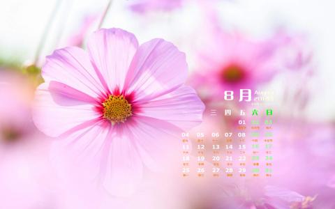 格桑花第3张