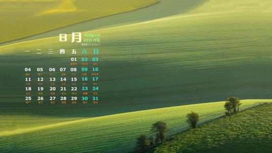 第0张