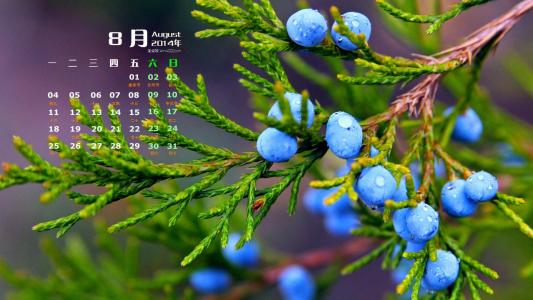 树木第1张