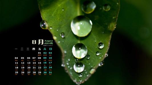 树木第4张