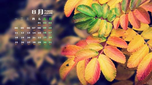 树木第0张