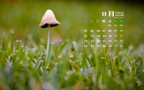 第1张