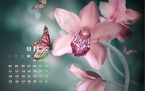 图片 _ 第(1)张