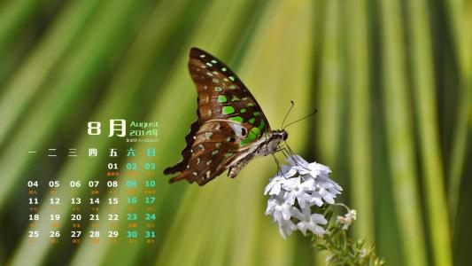 2014年8月日历图片 _ 第(6)张