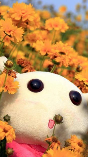 iphone5壁纸图片 _ 第(9)张