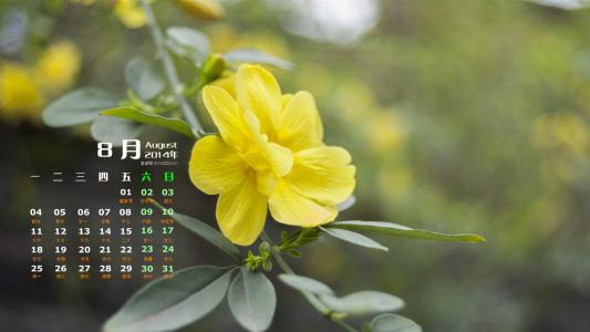 2014年8月日历图片 _ 第(3)张