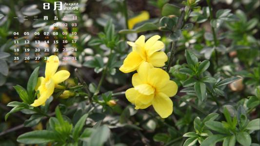 2014年8月日历图片 _ 第(4)张