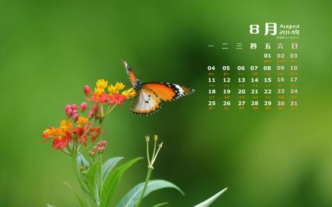 2014年8月日历图片 _ 第(5)张