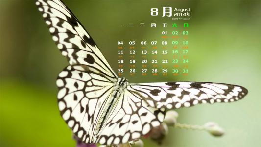 图片 _ 第(5)张