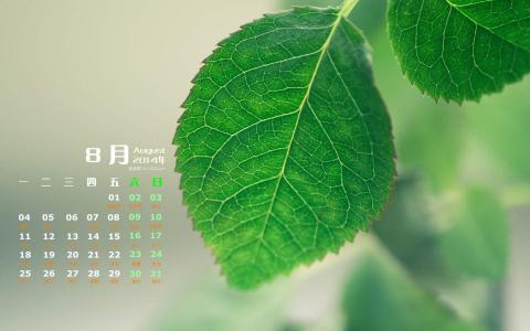 图片 _ 第(1)张